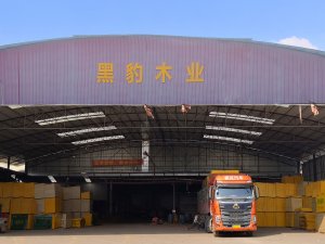 建筑模板生產(chǎn)廠家哪里較多