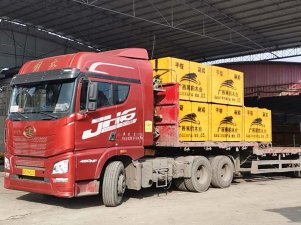 100萬的建筑模板訂單量發(fā)往湖南岳陽！