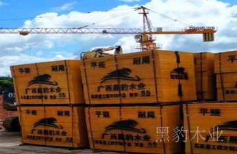 南寧建筑模板生產廠家有那些?